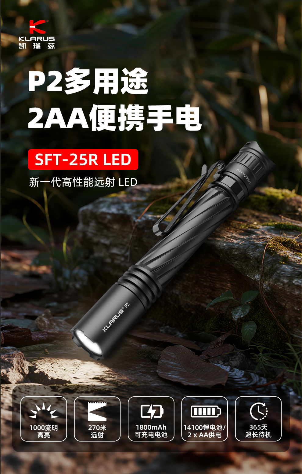 P2发布稿-中文_01